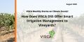How Does VISCA DSS Offer Smart Irrigation Management to Vineyards?